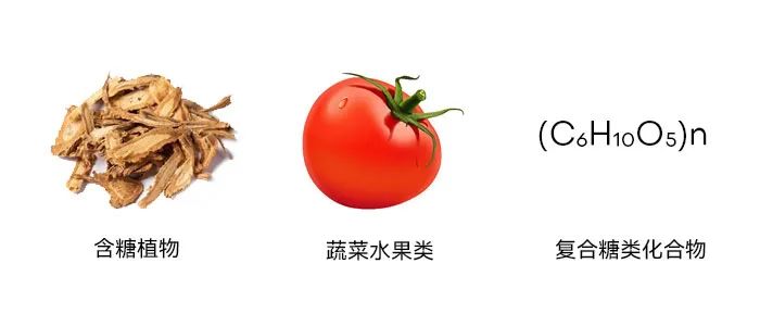 小型今年会喷雾干燥机旋风分离器内壁粘附湿粉 小型今年会喷雾干燥机旋风分离器内壁粘附湿粉