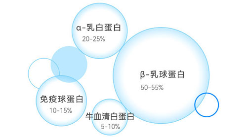 乳清蛋白成分示意图 乳清蛋白成分示意图